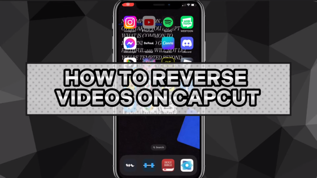 how to reverse video on capcut picture